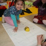 IMG_1178 IMG_1178