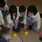 IMG_1278 IMG_1278