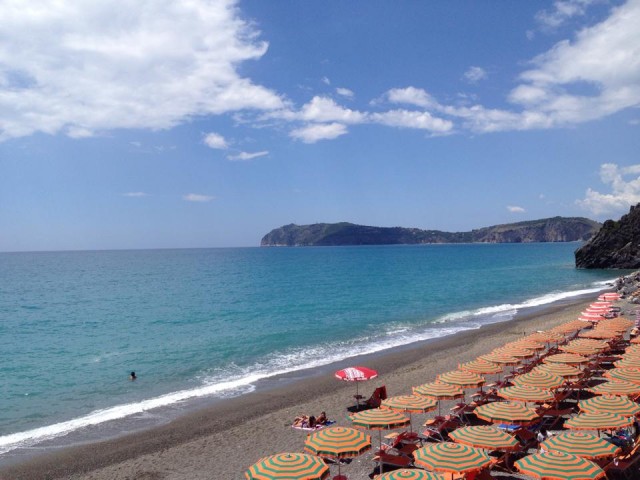 10491231_10204375165127300_8269994065770380312_n